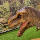 몽돌키즈랜드 이미지