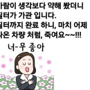 일등카마스타 이미지