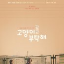 고양이를 부탁해 | 영화 &#39;고양이를 부탁해&#39;, 청춘의 흔적과 우정의 온기