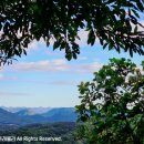 원주굽이길 19코스 기업도시둘레길 이미지