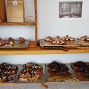 예쁘다. 하조대 이미지