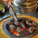 마포갈매기 이미지