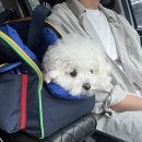 댕신나게 | 오랜만에 셋이 함께하는 휴무