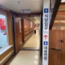 포항↔울릉도 뉴씨다오펄호 크루즈 왕복후기(예약방법 준비물 식사 시설 등)