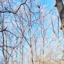 고려왕릉가는길 | 강화나들길 3코스 고려왕릉가는 길 그리고 자람도서관