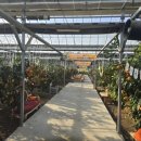 병식농장 이미지