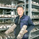 광교농산