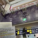 당일치기 하이원리조트 스노우월드 썰매장 내돈내산 후기