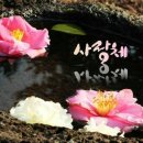 아름다운 서체 캘리그라피 이미지