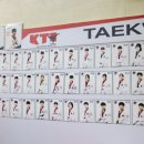 영웅태권도장 | 행신동 전문적인 태권도장 [명지태권도 교육관]