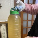 바다촌 | [전남 영암]힘이 불끈 솟는 낙지먹으러 가요~...독천낙지마을 바다촌
