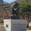 별양1소공원 | 3월 속초여행 후기 : 속초아이 대관람차, 바다별 양조장, 울산바위, 설악산 신흥사, 속초 롯데리조트