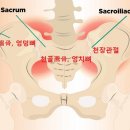 365동백한의원 이미지