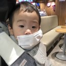 미키팜약국 | 아에르 유색 웰킵스 뽀로로범벅 꼼마꼼마 막퍼드림 프리비 마스크 졸업하다 :D