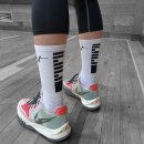 인아스포츠 이미지