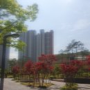 창원시립유니시티4단지어린이집