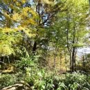 중산리 관광지 이미지