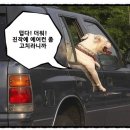 무주카센타 이미지