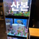 롯데시네마 산본피트인 10층 | 산본 놀거리 롯데시네마 산본피트인점 영화