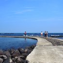 푸른신창 이미지