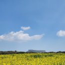 GS25 고성점 네이버블로그