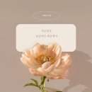 모모미나