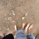 강서정보 | 미즈메디산부인과 후기 난임센터 강서 난임병원 비교 정보 비용 가격 추천