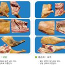 전라남도 완도군 약산면 약산도 약산흑염소 이야기 이미지