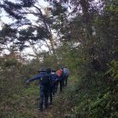 구림 금평교 이미지