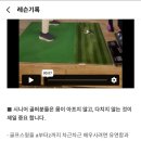 VIP 골프아카데미 이미지