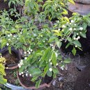 오늘은봄날 이미지