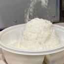 길음4 | 성북구 디저트 길음역 빙수 맛집 빙동댕 프리미엄 빙수카페 성북구점 메뉴 추천