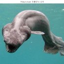 소망부동산중개사무소 이미지