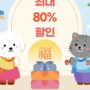 인천 강아지고양이 분양 미유펫 이미지