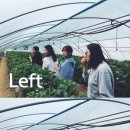 정예농장 이미지