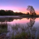 무영목장 이미지