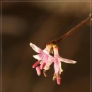 국립중앙박물관 나들이... 이미지