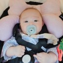 도로시 산후조리원 | 당진 도로시산후조리원