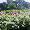 뉴타운당구장 이미지