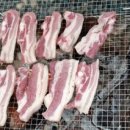 밀양표충오토캠핑장 이미지