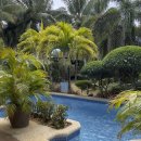 골든팜 | 보홀 가성비 0.5박 숙소 골든팜 리조트 후기 위치 가격 수영장 장단점