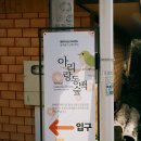 아리랜드
