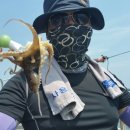 오늘도 쭈꾸미 이미지