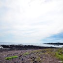 태흥횟집 이미지