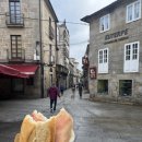영이&영9영어교습소 | Day 9. Pontevedra - Armenteira