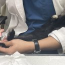 차오름동물병원 이미지