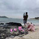 해가빛 민박 이미지