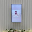 드림펫동물병원