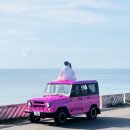 신들의풍차 | 나트랑 무이네 사막 현지 투어 톰 Tom 내돈내산 후기 가격 예약 방법