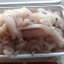 아야진해변길 5 Daum카페